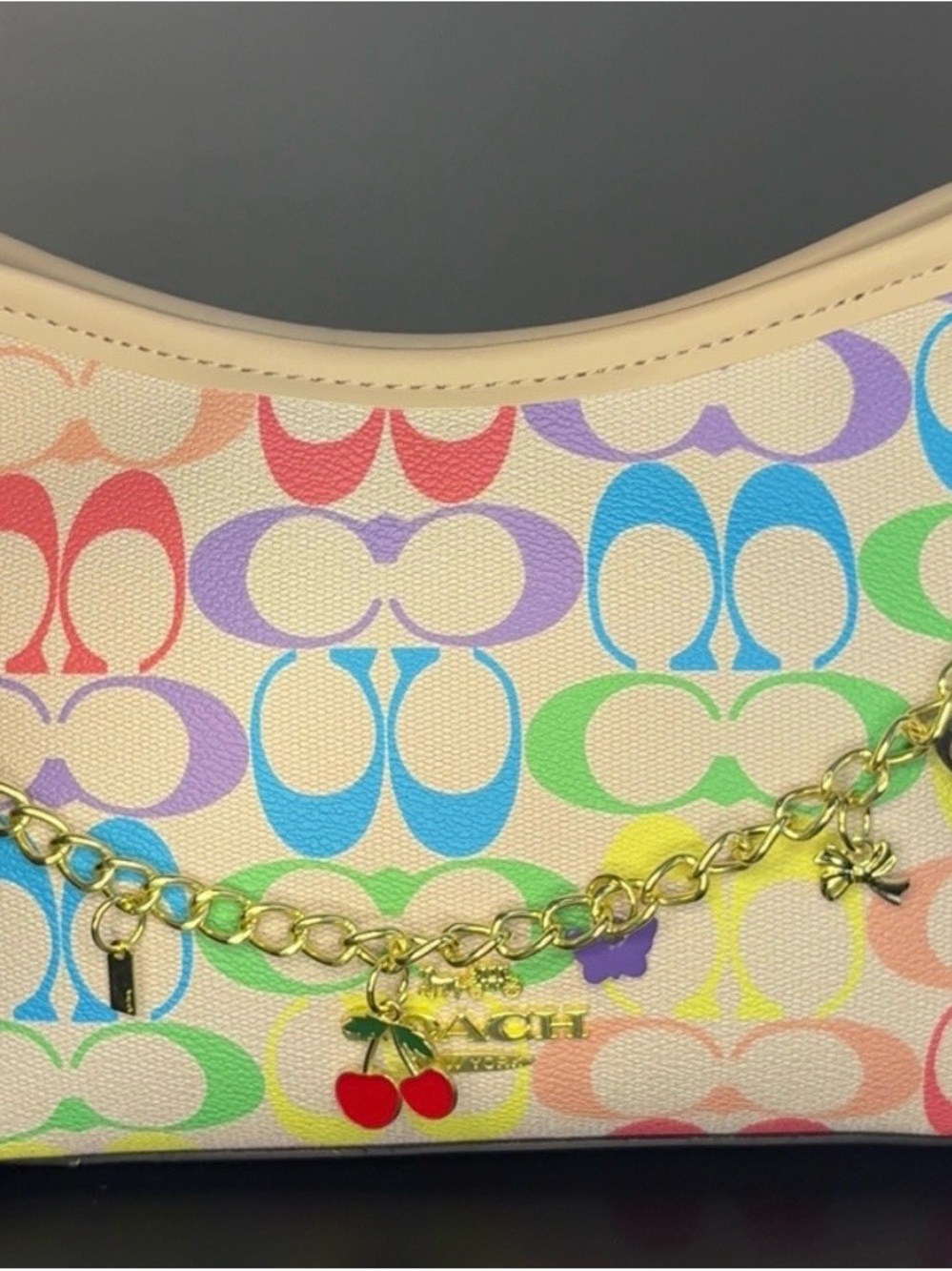 Coach Multicolor Signature Canvas Charm Shoulder Bag
